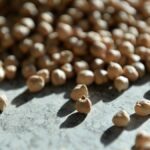 antalyada-yuksek-sicakliga-dayanikli-yerli-nohut-projesi-nUUqUdLX