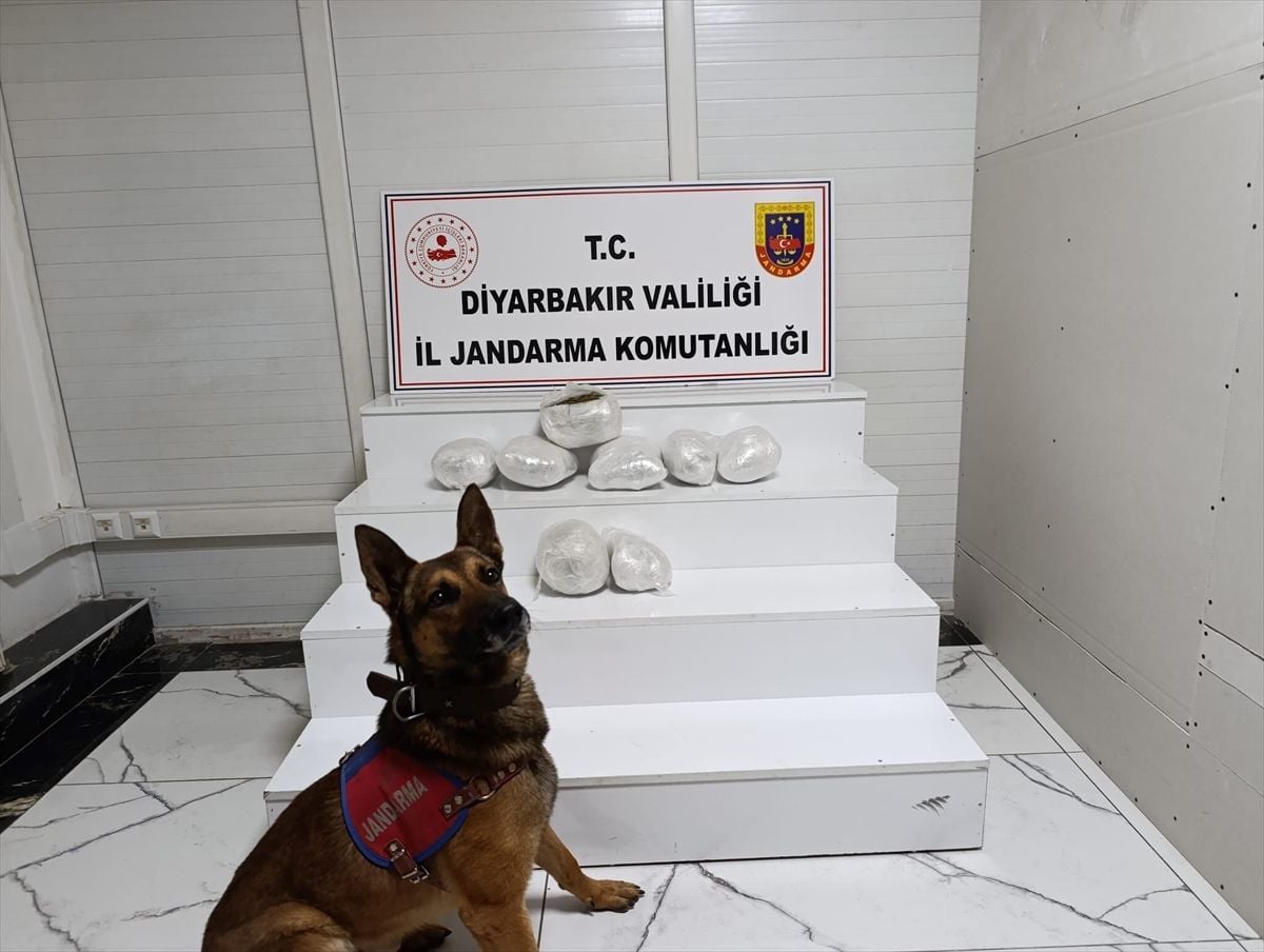 Diyarbakır’da Uyuşturucu Operasyonları: 150 Gözaltı ve Büyük Miktarda Malzeme Ele Geçirildi
