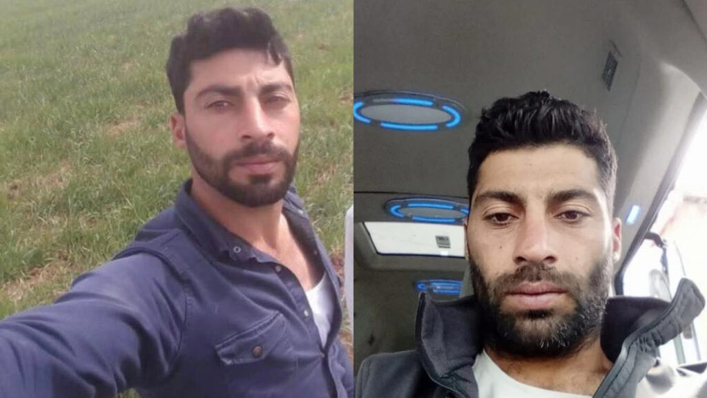 Yüksek Ağaçlardan Toplanan Çam Fıstığı Altın Fiyatlarını Geride Bırakıyor