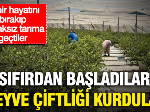 Sifirdan basladilar meyve ciftligi kurdular sehir hayatini birakip topraksiz tarima gectiler ebHPiPUT